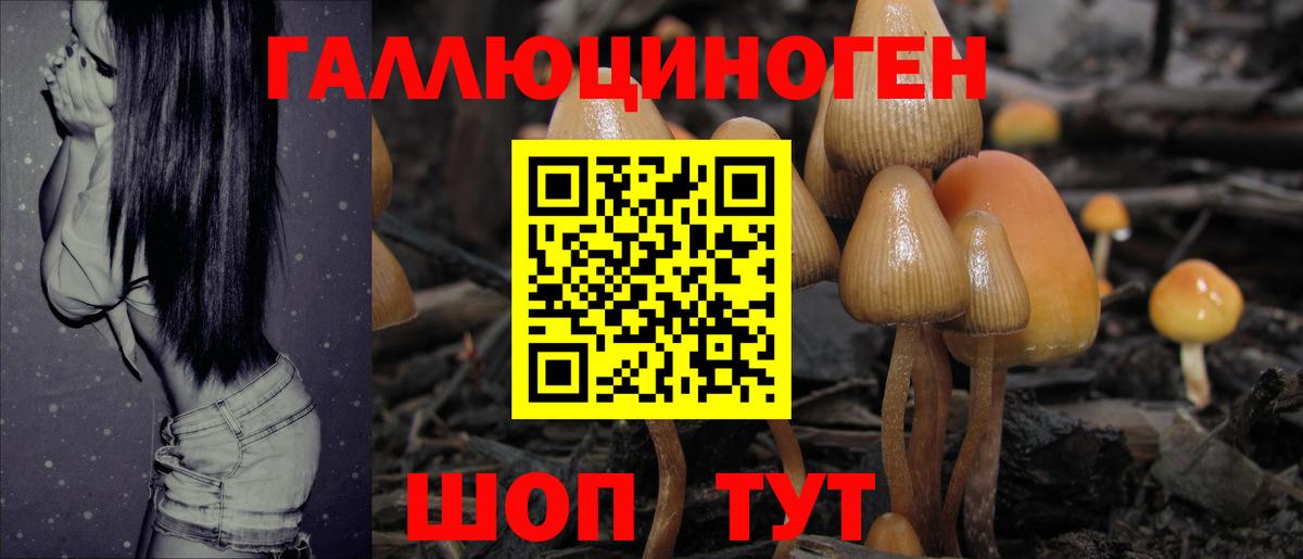 Псилоцибиновые грибы Cubensis  купить закладку  Электрогорск  Галлюциногенные грибы MAGIC MUSHROOMS  Вход с VPN 